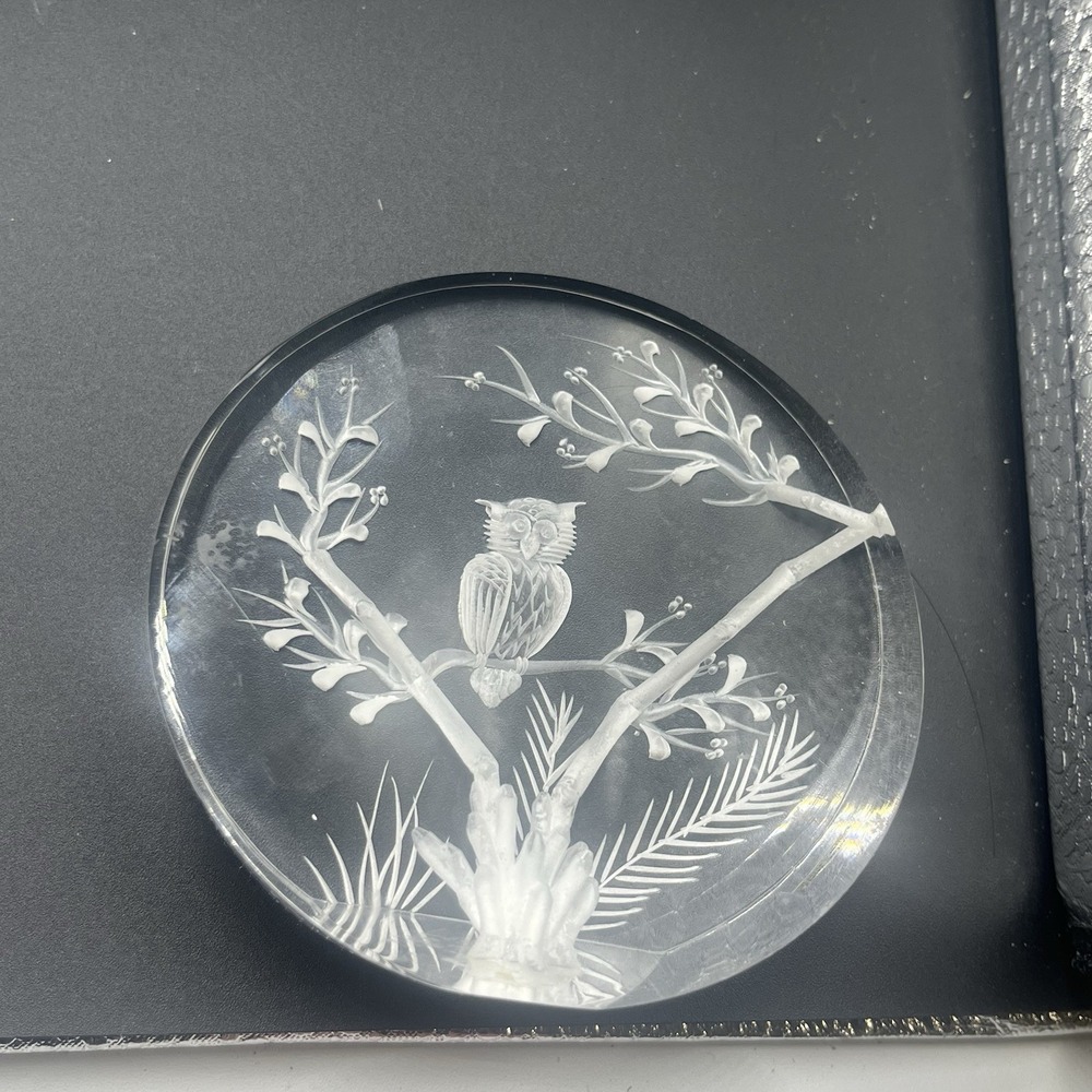 Owl Tree Round Acrylic Lucite Reverse Carved Paperweight Clear 3.5" H Home Decor